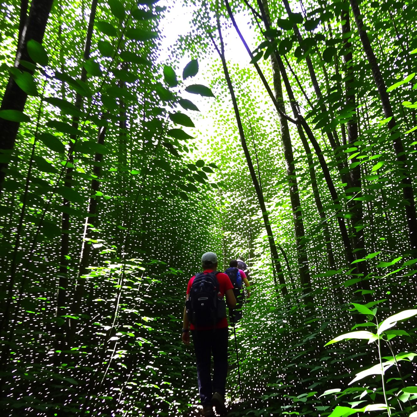 Откройте мир активного отдыха